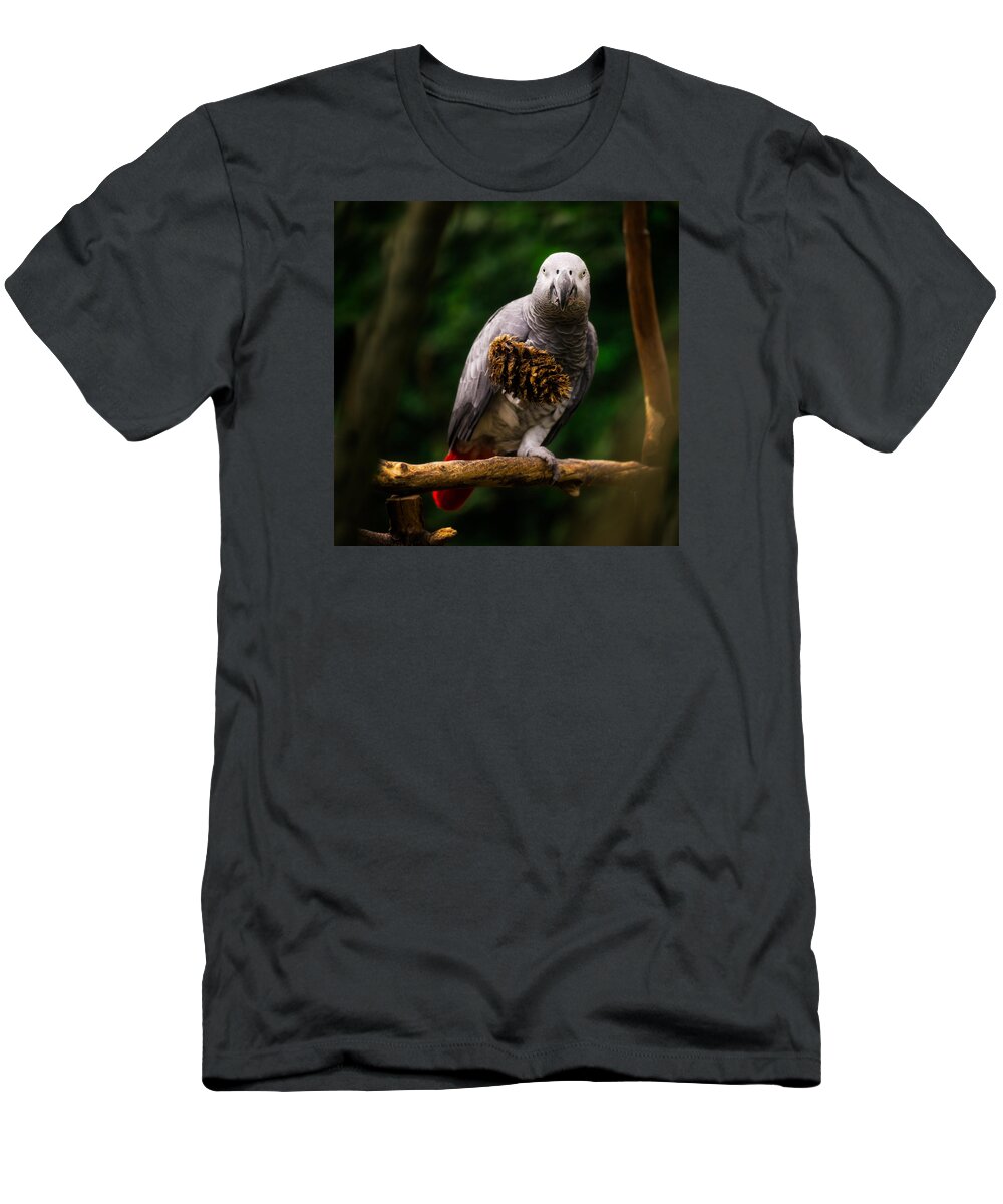 Bloedel Conservatory T-Shirt featuring the photograph Congo African Grey Parrot by Peter V Quenter