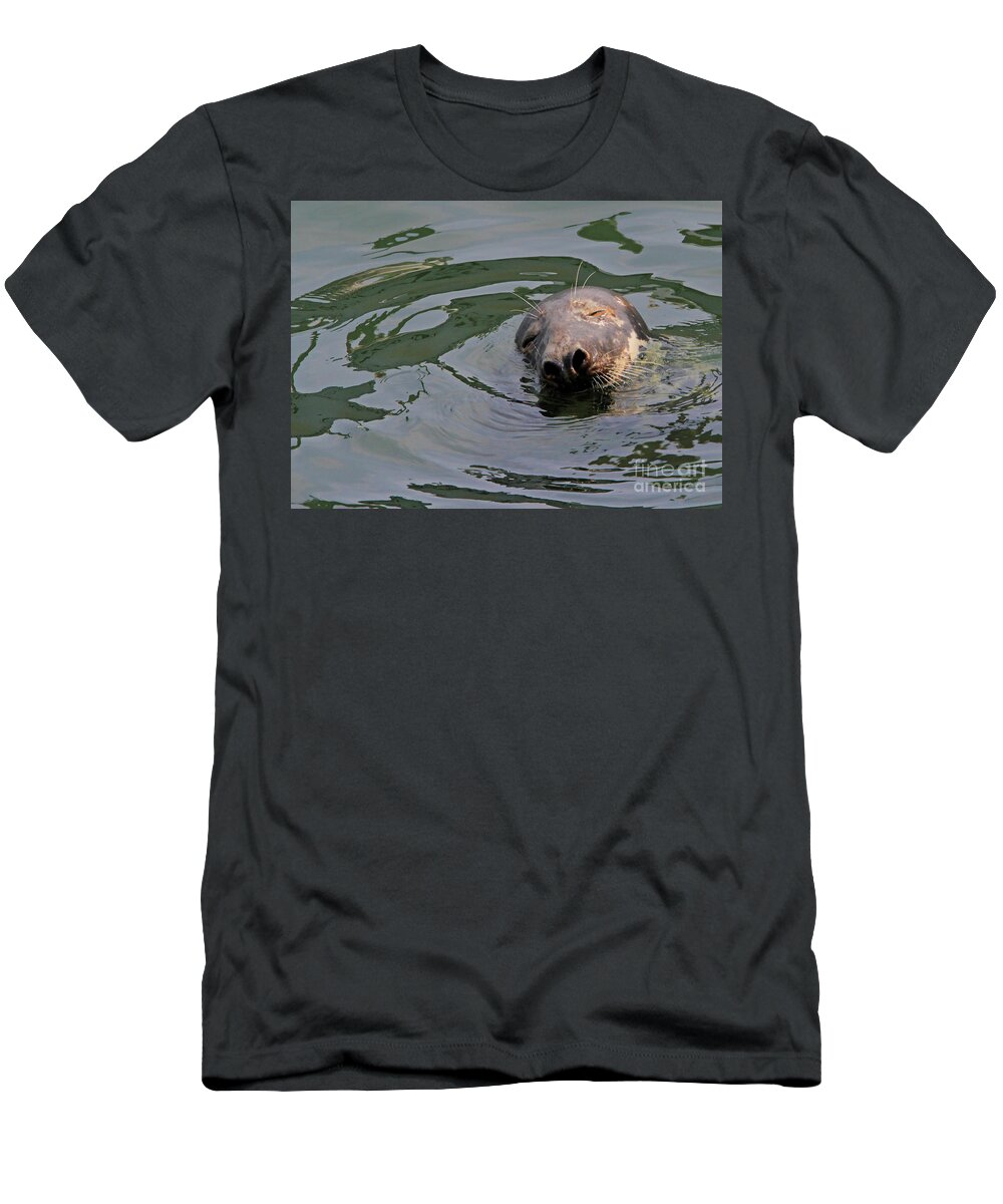 Seal.cape Cod T-Shirt featuring the photograph Contentment by Paula Guttilla