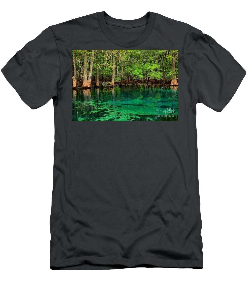 Manatee Spring T-Shirt featuring the photograph Cool Blue Manatee Spring Waters by Adam Jewell