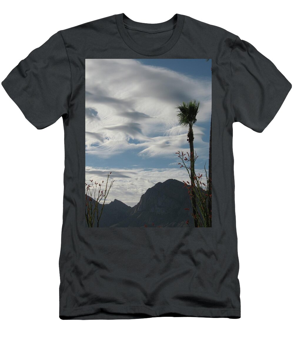 Palms T-Shirt featuring the photograph Cool Mornings on the Porch by Judith Lauter