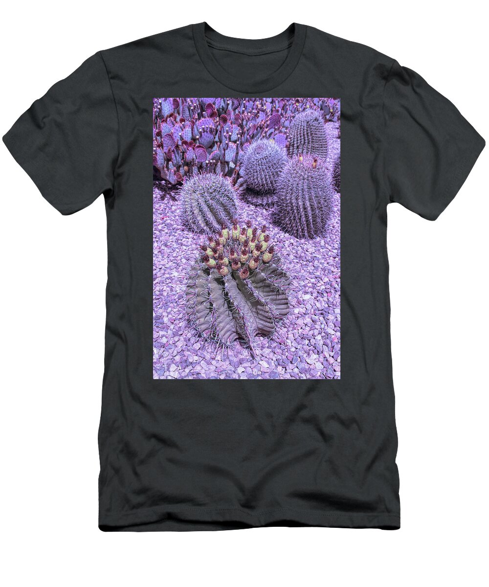 Desert T-Shirt featuring the photograph Cool Sunset Desert Cacti by Aimee L Maher ALM GALLERY