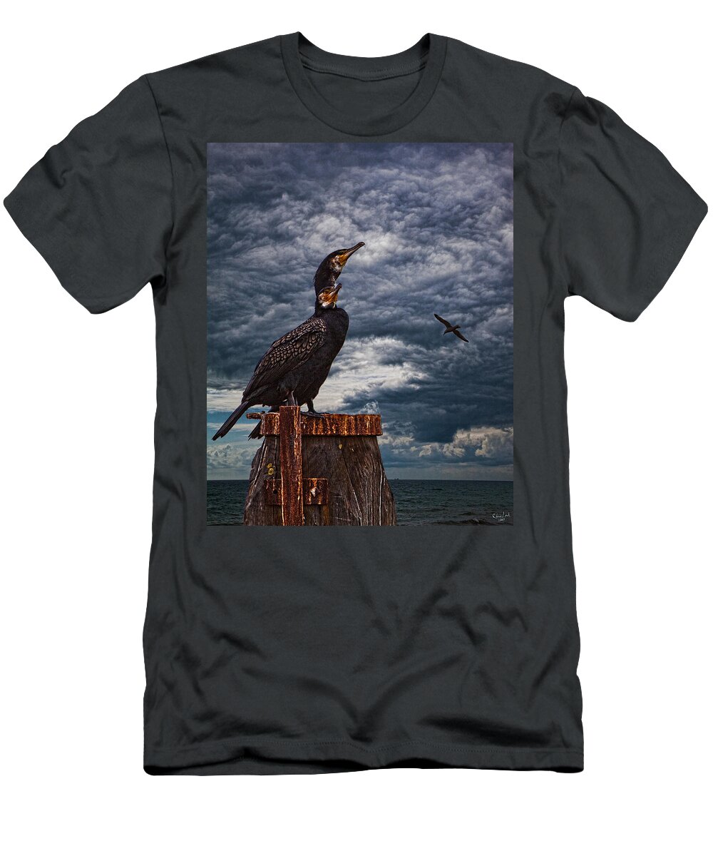 Cormorant T-Shirt featuring the photograph Cormorant Couple by Chris Lord