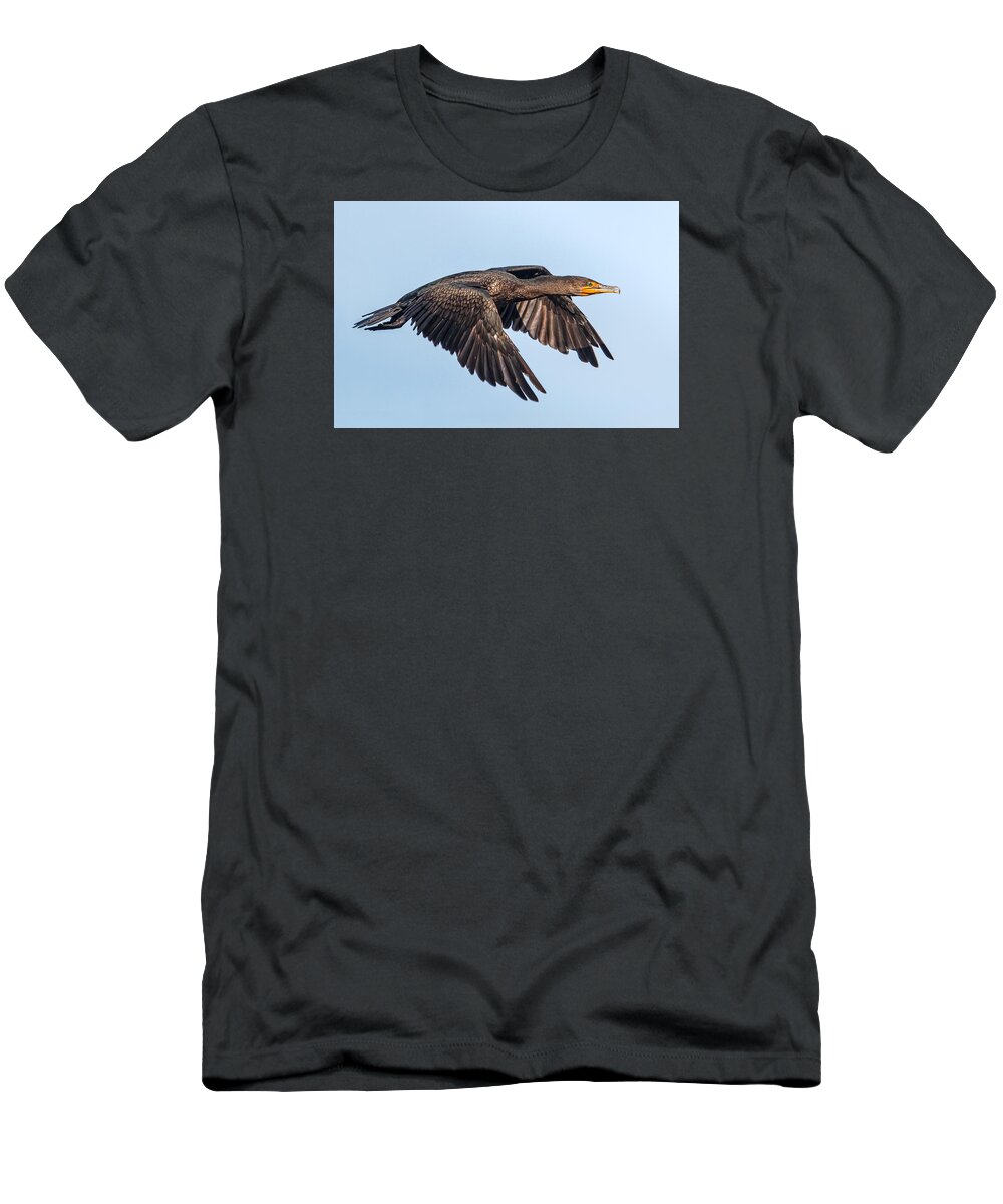 Cormorant T-Shirt featuring the photograph Cormorant in flight by Kevin Giannini
