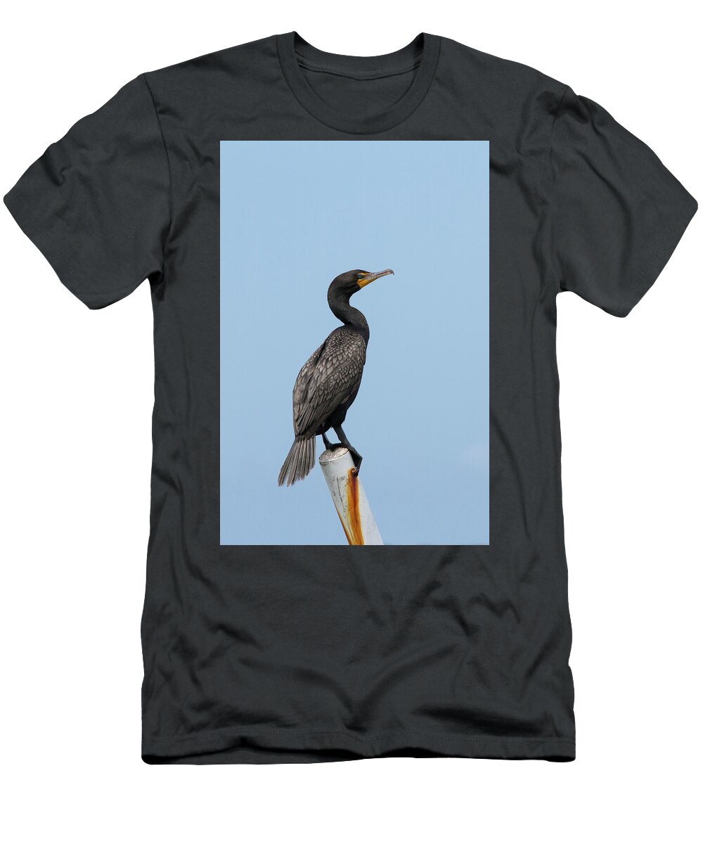 Cormorant T-Shirt featuring the photograph Cormorant Post by Paul Rebmann