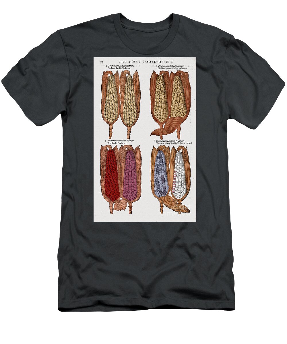 1597 T-Shirt featuring the photograph Corn, 1597 by Granger