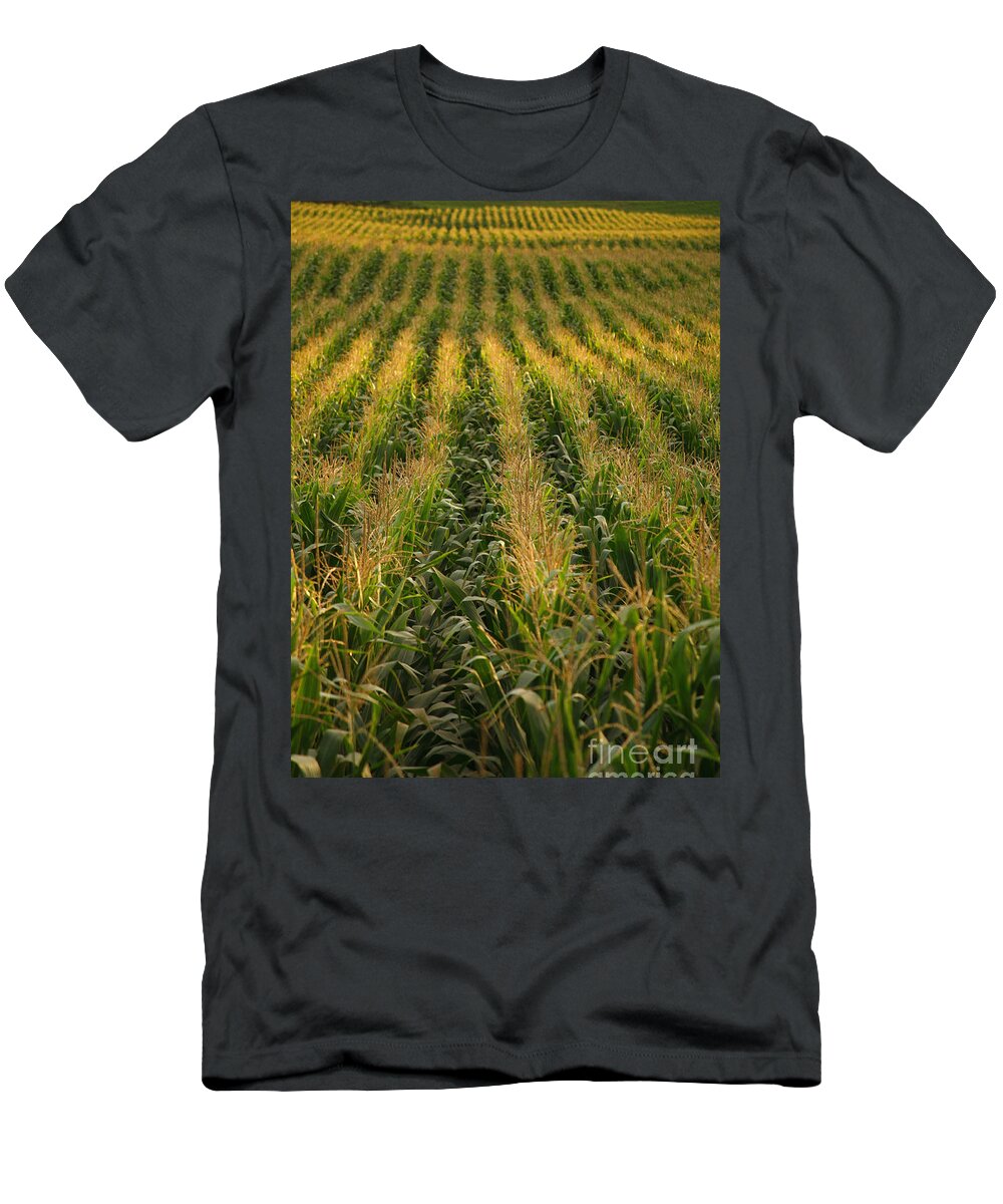 Acores T-Shirt featuring the photograph Corn field by Gaspar Avila