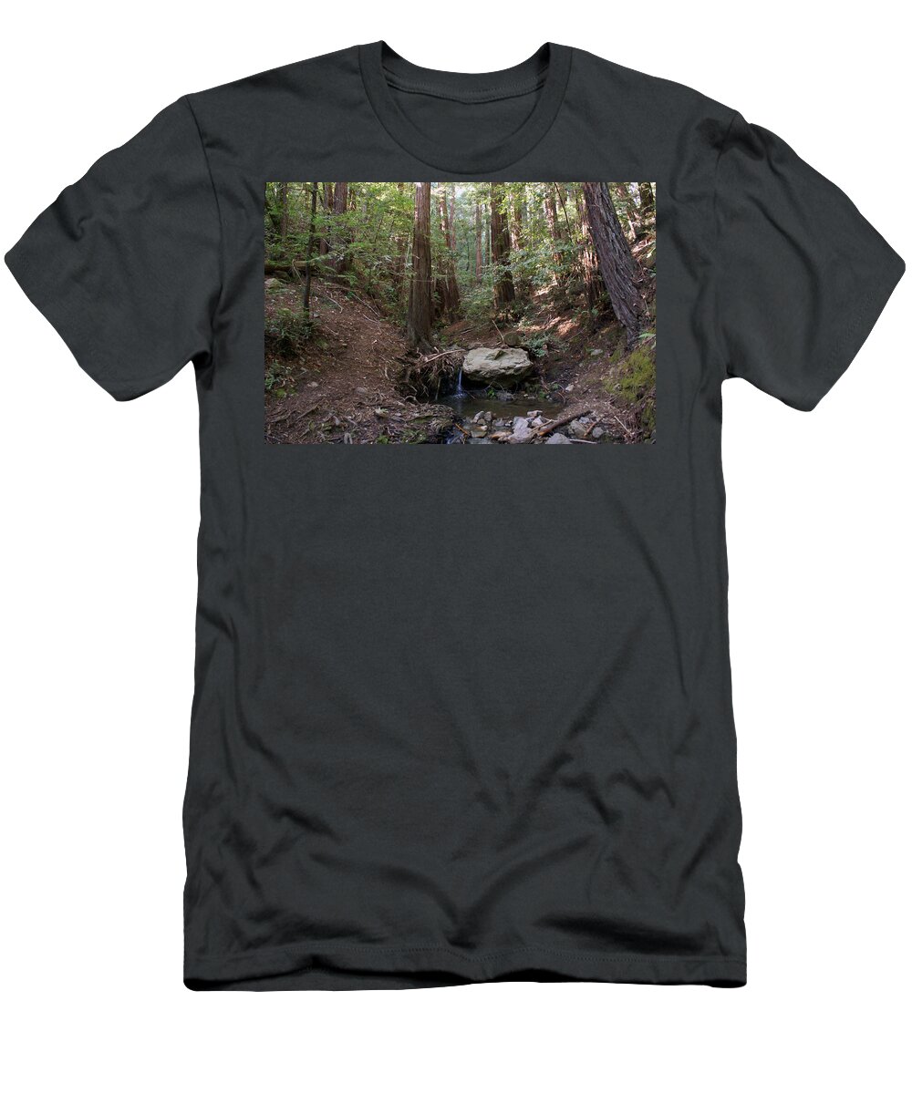 Nature T-Shirt featuring the photograph Corte Madera Creek on Mt Tamalpais #6 by Ben Upham III