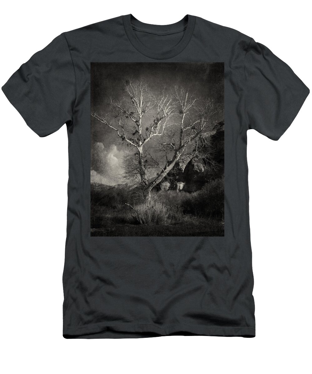 Palm Springs T-Shirt featuring the photograph Cottonwood Tree BW by Sandra Selle Rodriguez