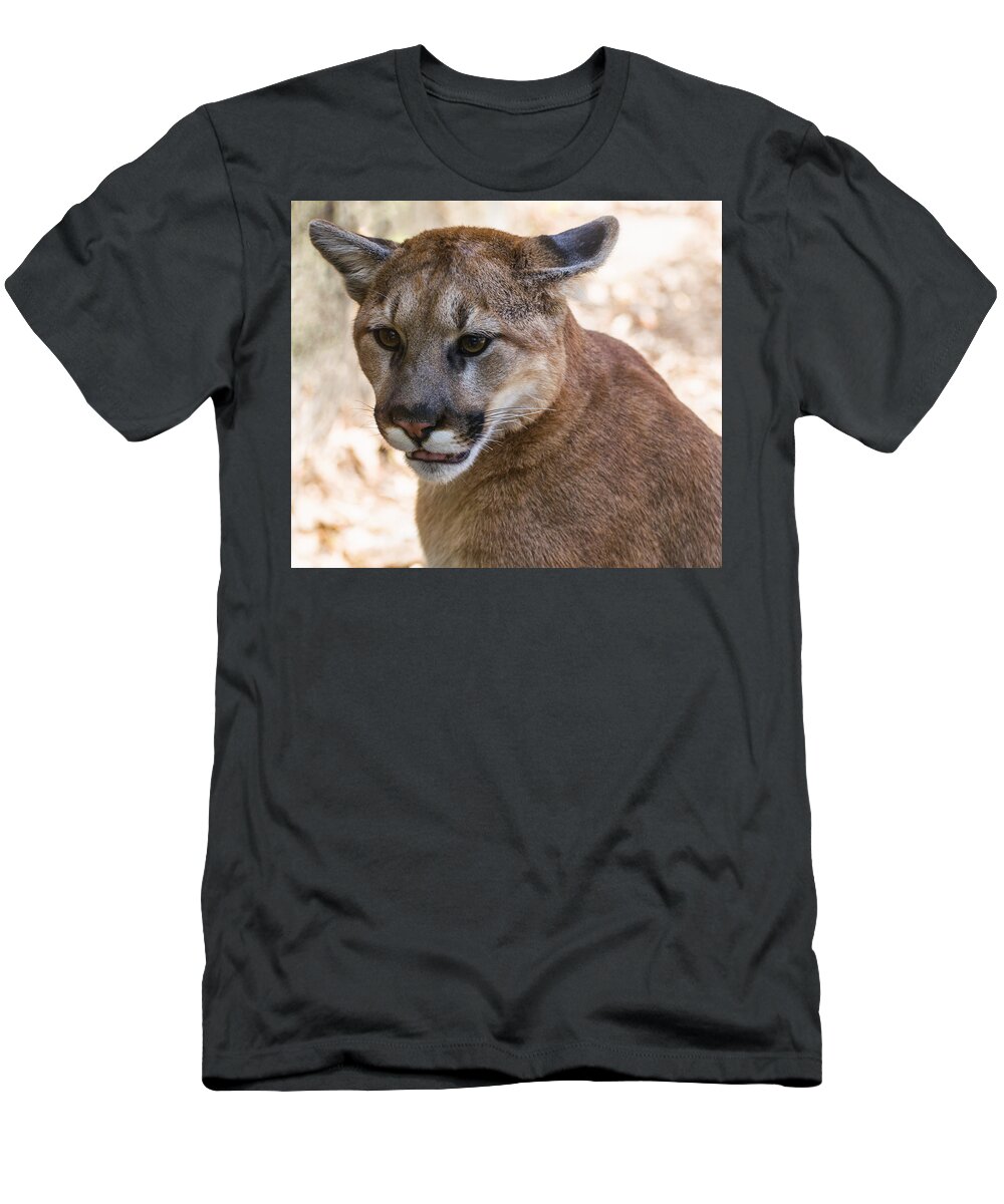 Cougar T-Shirt featuring the photograph Cougar Portrait by Flees Photos