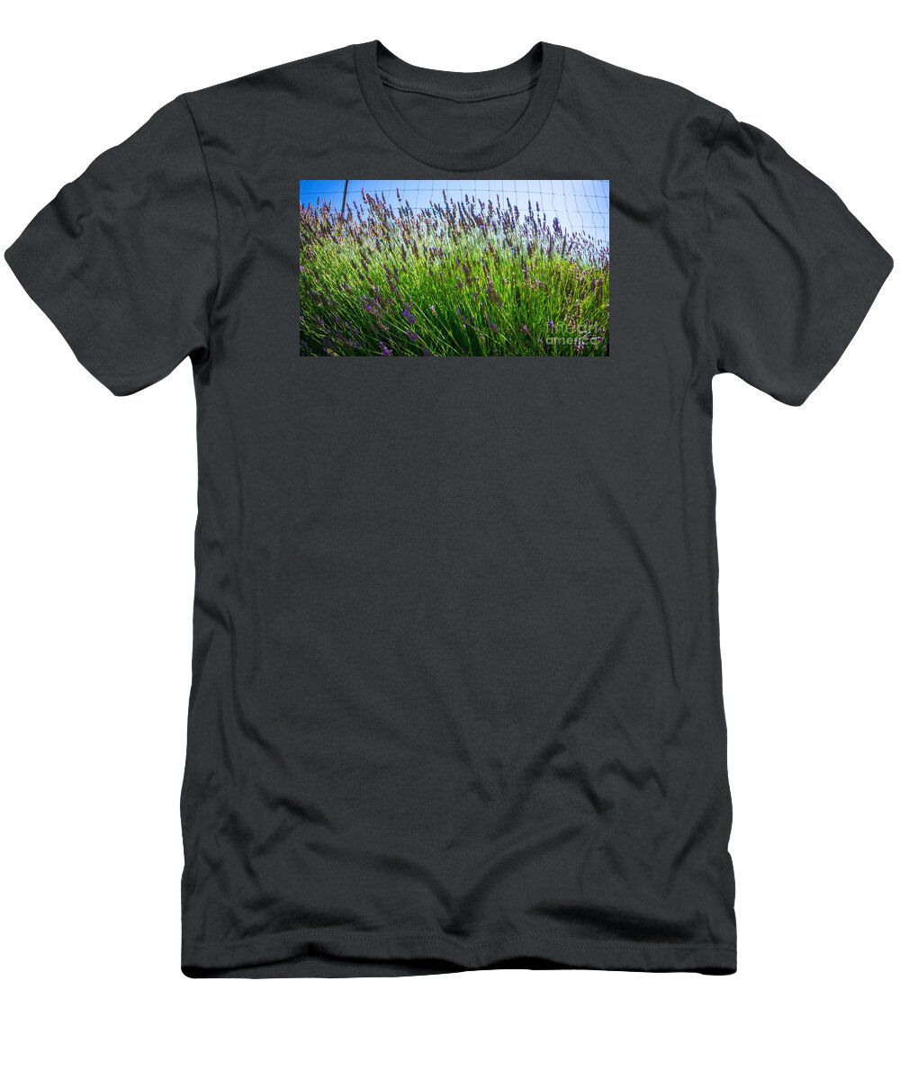 Flowers T-Shirt featuring the photograph Country Lavender II by Shari Warren