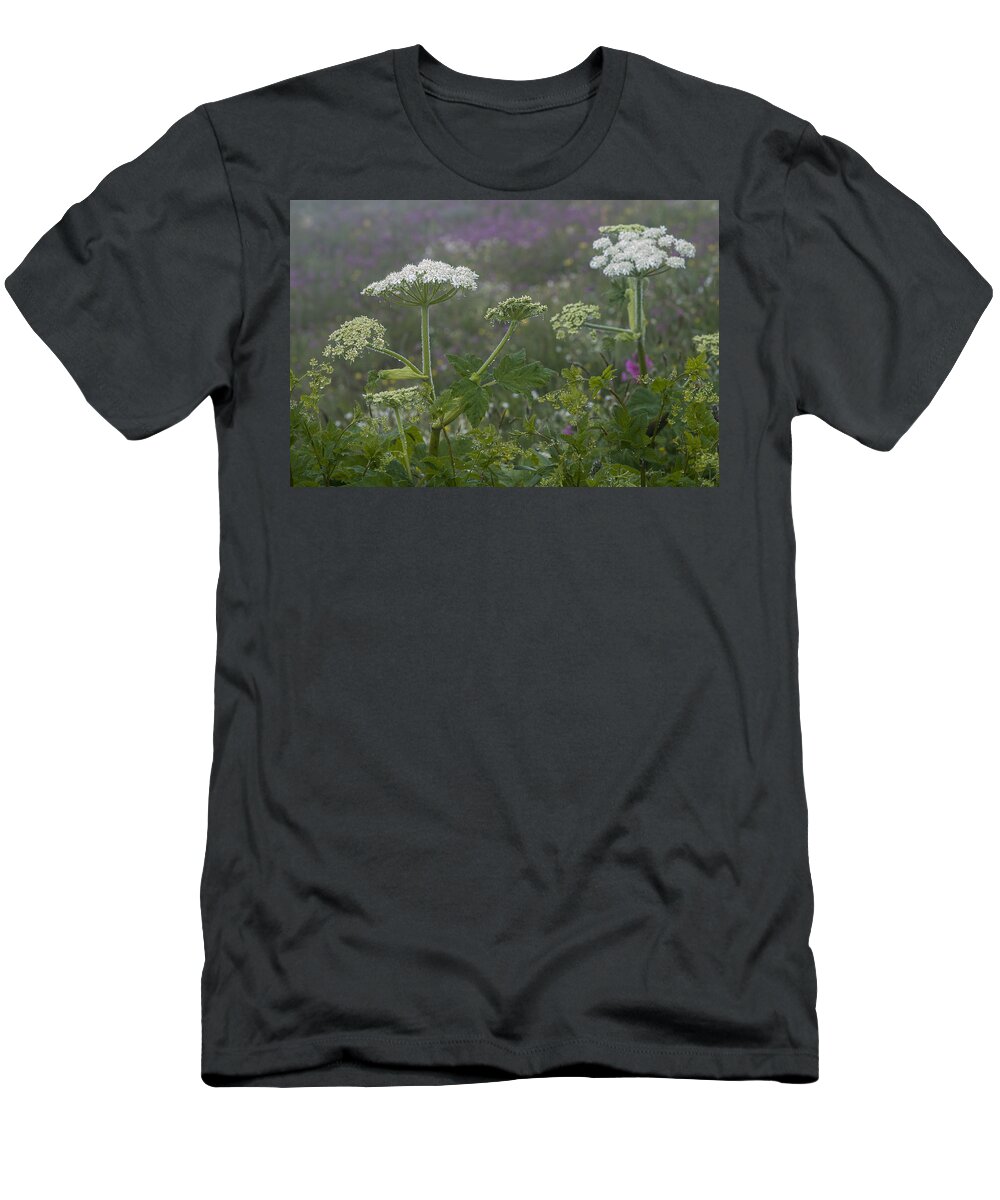 Mist T-Shirt featuring the photograph Cow Parsnip in the Mist by Robert Potts