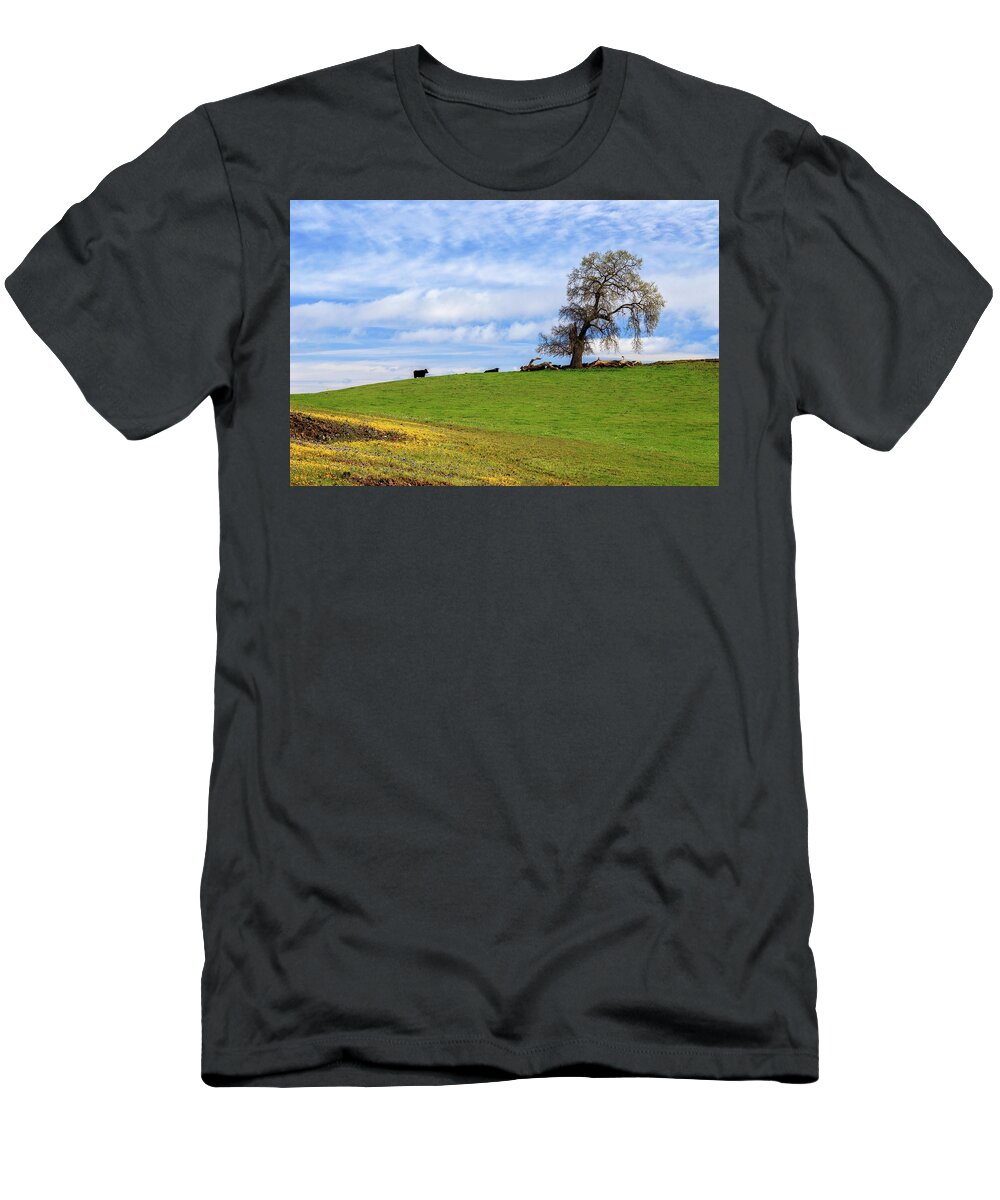 Cows T-Shirt featuring the photograph Cows On A Spring Hill by James Eddy