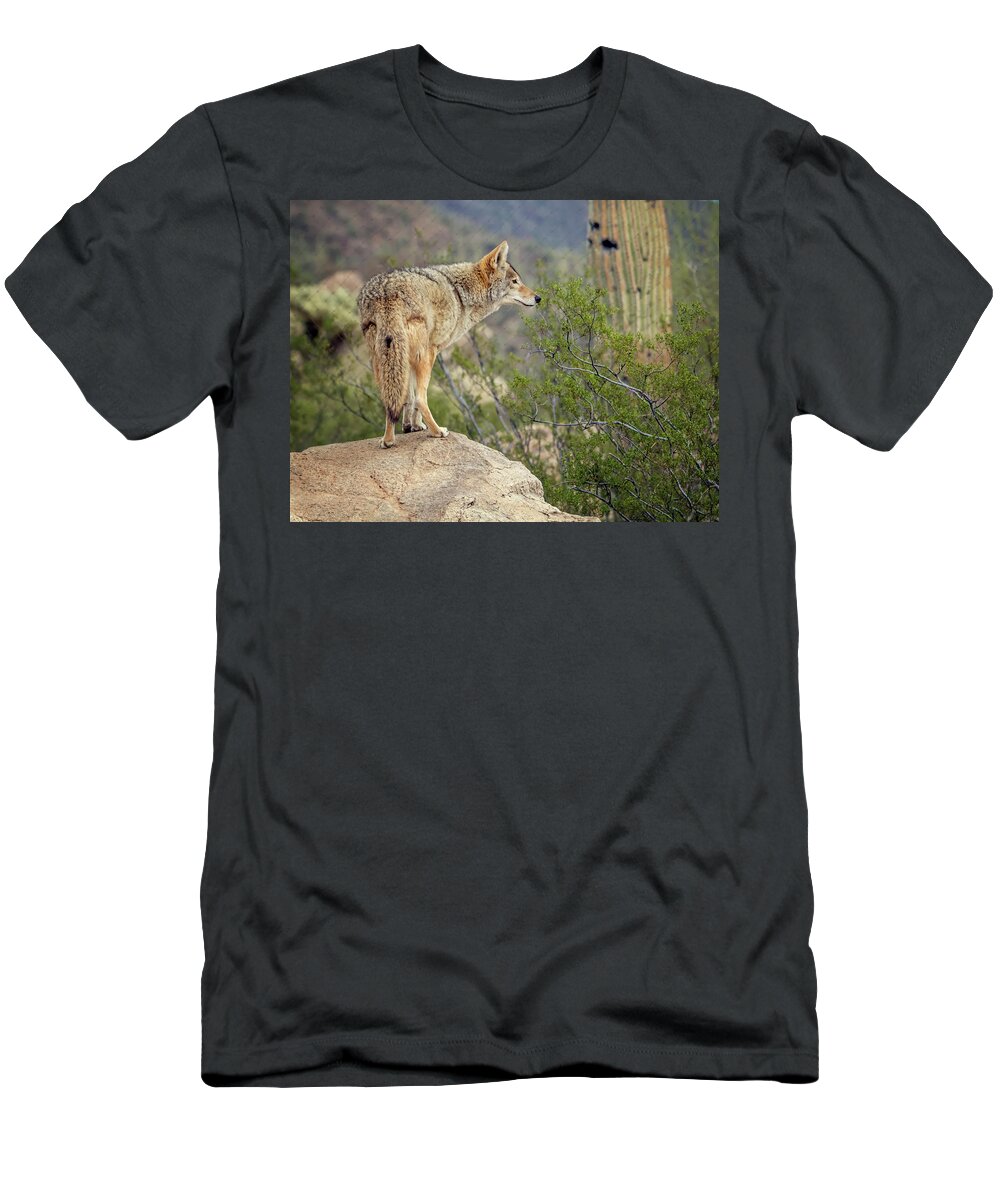 Coyote T-Shirt featuring the photograph Coyote by Tam Ryan