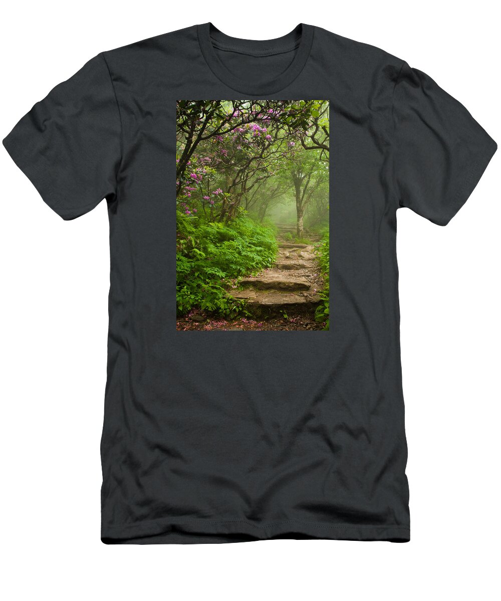 Great Smoky Mountains T-Shirt featuring the photograph Craggy Steps by Joye Ardyn Durham