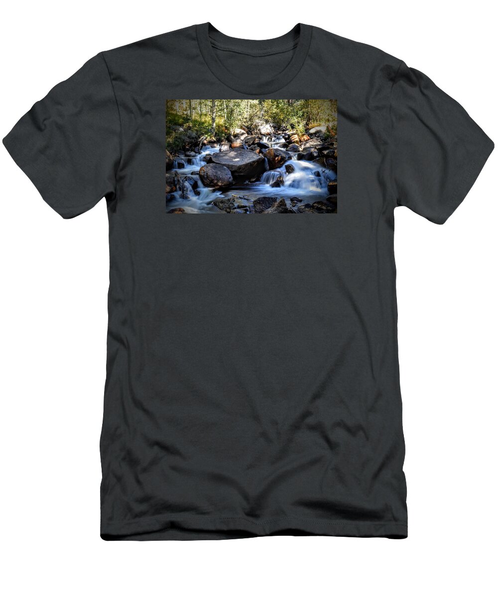Creek T-Shirt featuring the photograph Creeky Steps by Michael Brungardt