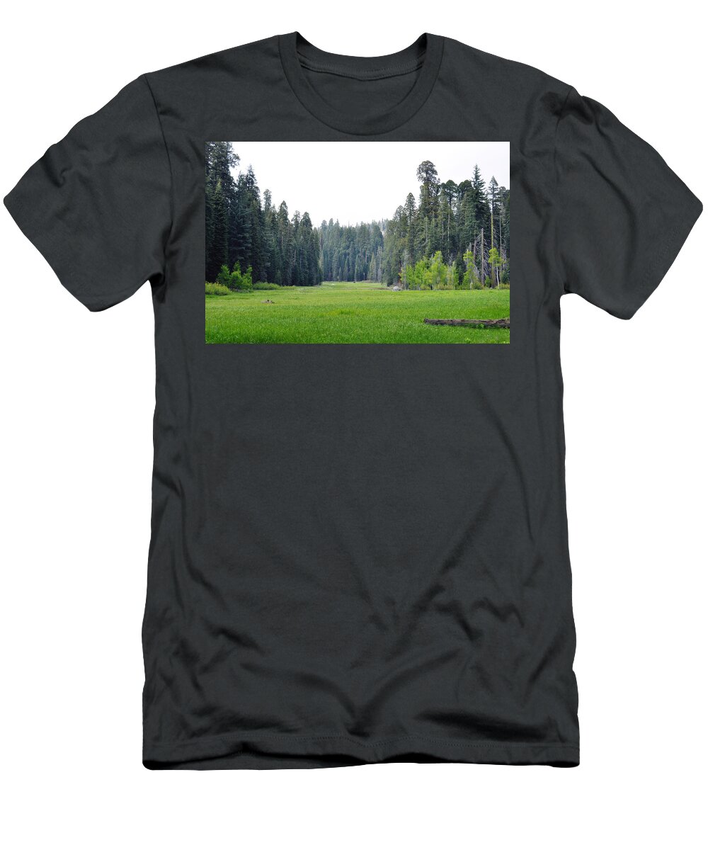 Sequoia National Park T-Shirt featuring the photograph Crescent Meadow by Kyle Hanson