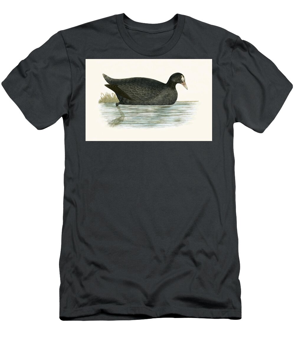 Bird T-Shirt featuring the painting Crested Coot by English School