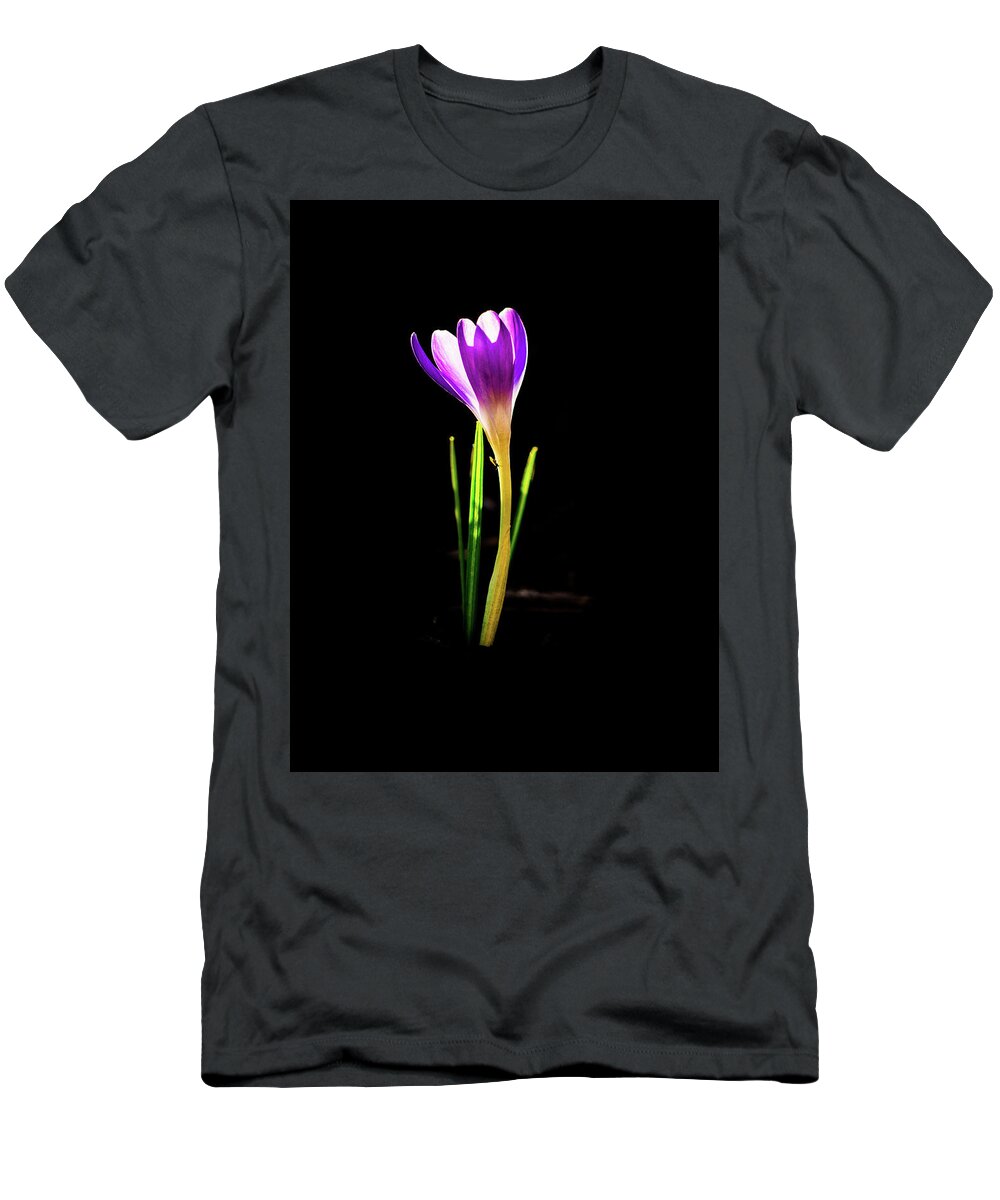 Flower T-Shirt featuring the photograph Crocus 2018-1 by Barry Wills