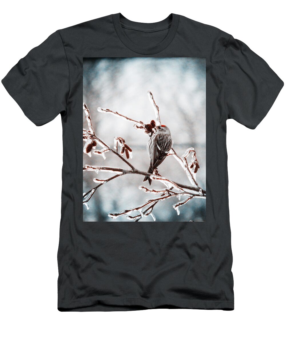 Morning T-Shirt featuring the photograph Crystal Morning Joy by Zinvolle Art