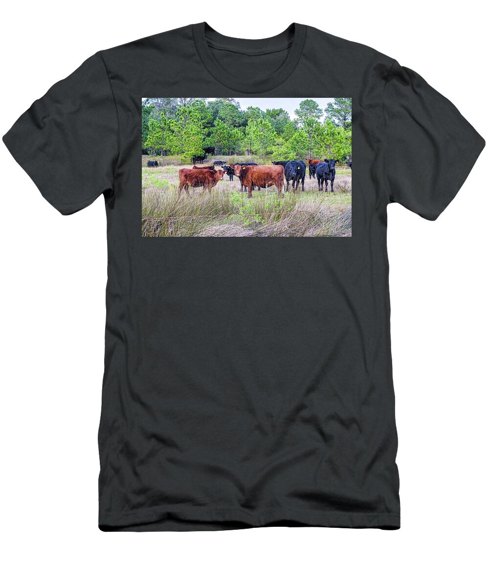 Agriculture T-Shirt featuring the photograph Curiosity by Scott Hansen