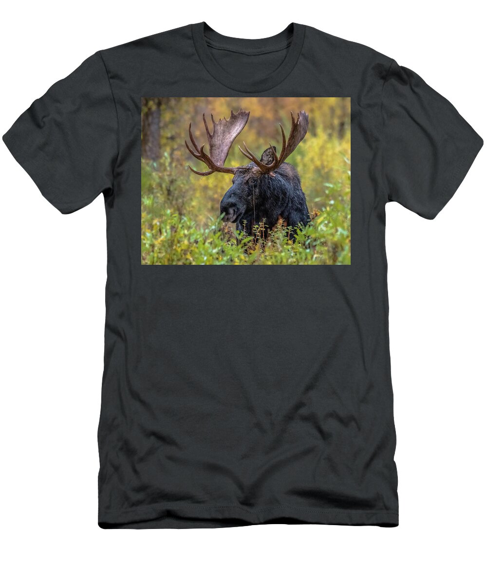 Custer T-Shirt featuring the photograph Custer At Dusk by Yeates Photography