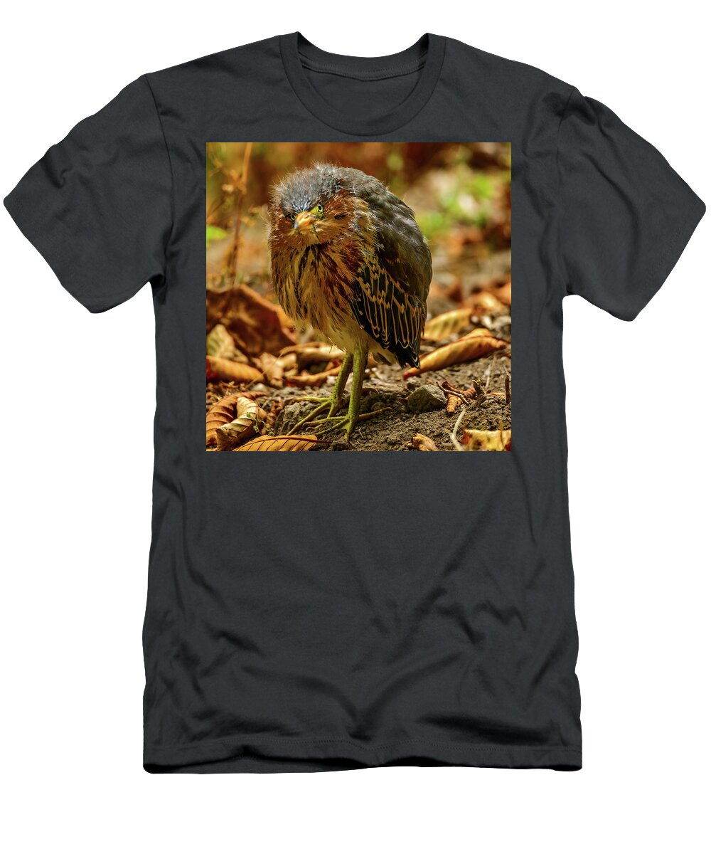 Cute T-Shirt featuring the photograph Cute Green Heron by Jerry Cahill