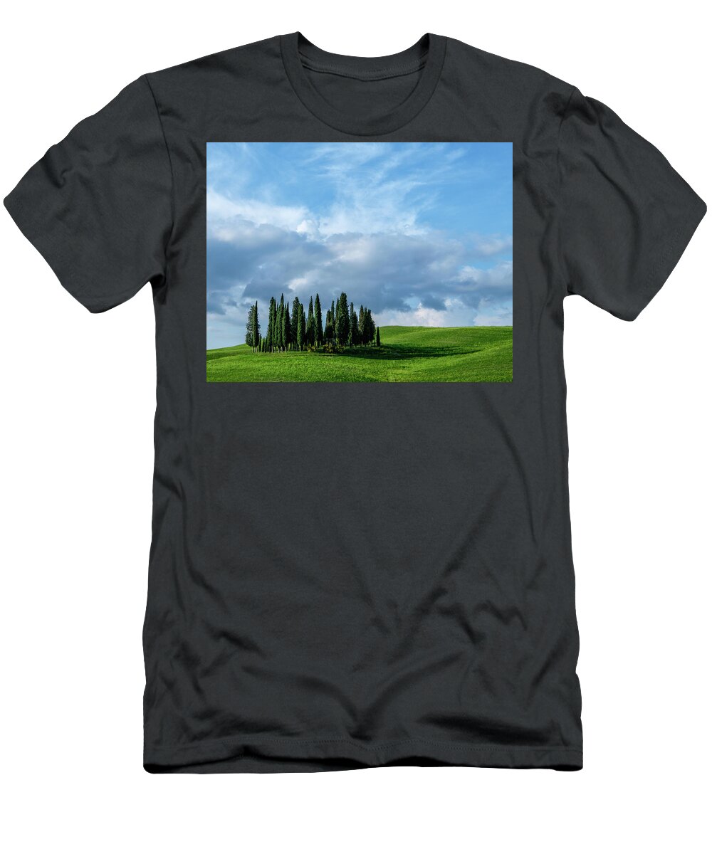 Cypress Grove T-Shirt featuring the photograph Cypress Grove by Georgette Grossman