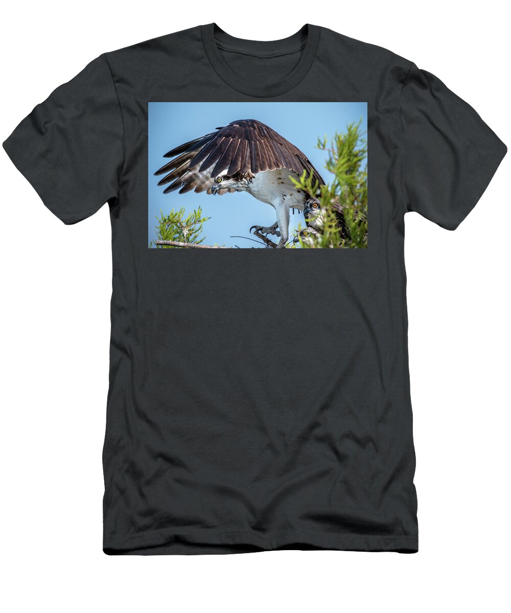 Nature T-Shirt featuring the photograph Daddy Osprey on Guard by Donald Brown