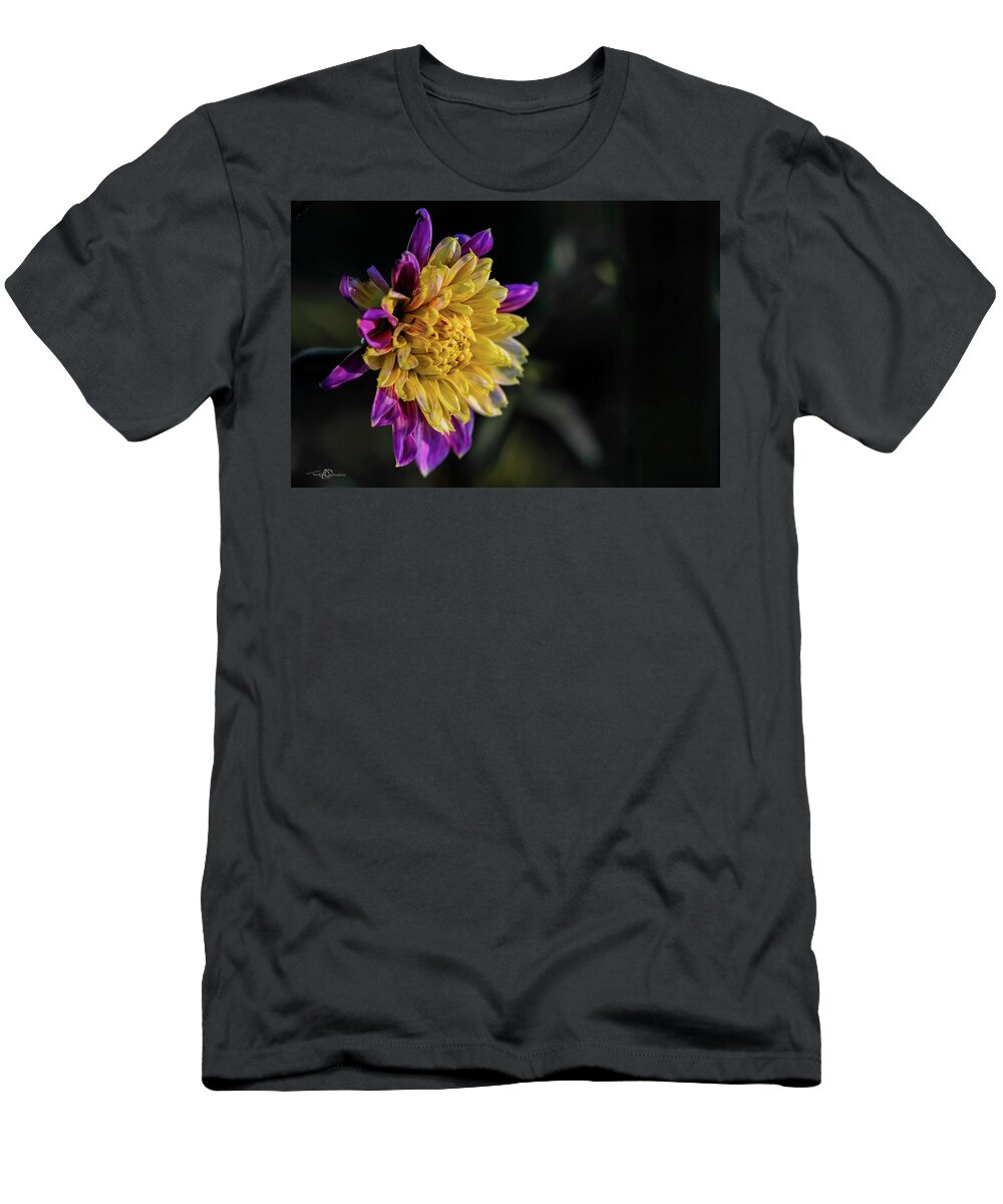 Dahlia Boogie Woogie T-Shirt featuring the photograph Dahlia named Boogie Woogie by Torbjorn Swenelius
