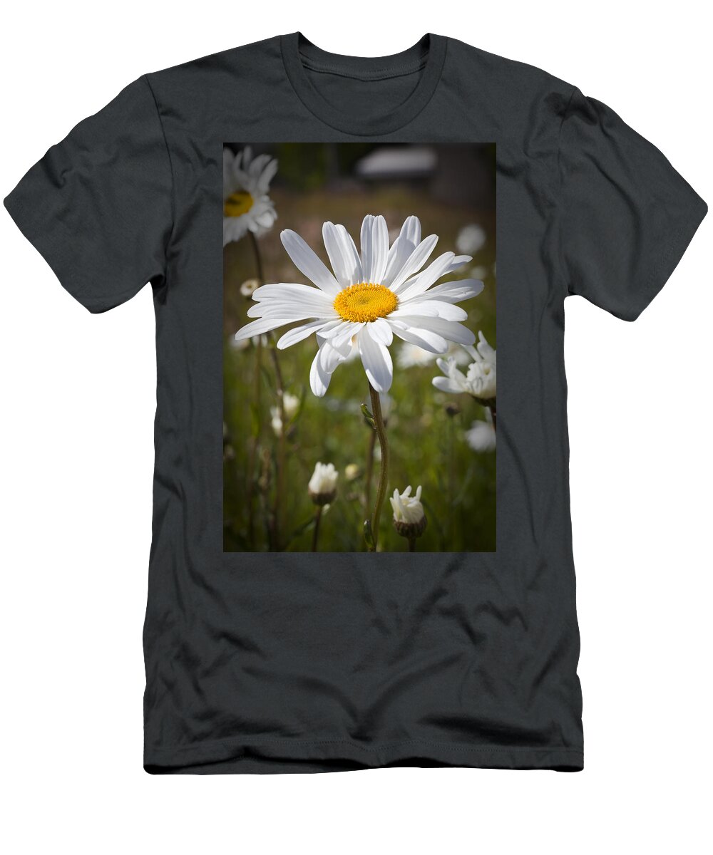 Daisy T-Shirt featuring the photograph Daisy 1 by Kelley King