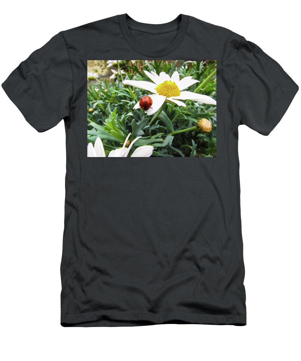Daisy Flower T-Shirt featuring the photograph Daisy Flower and Ladybug by Cesar Vieira