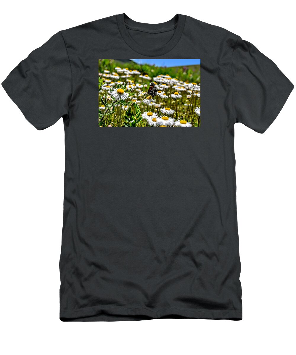Butterfly T-Shirt featuring the photograph Daisy has Company by Michael Brungardt