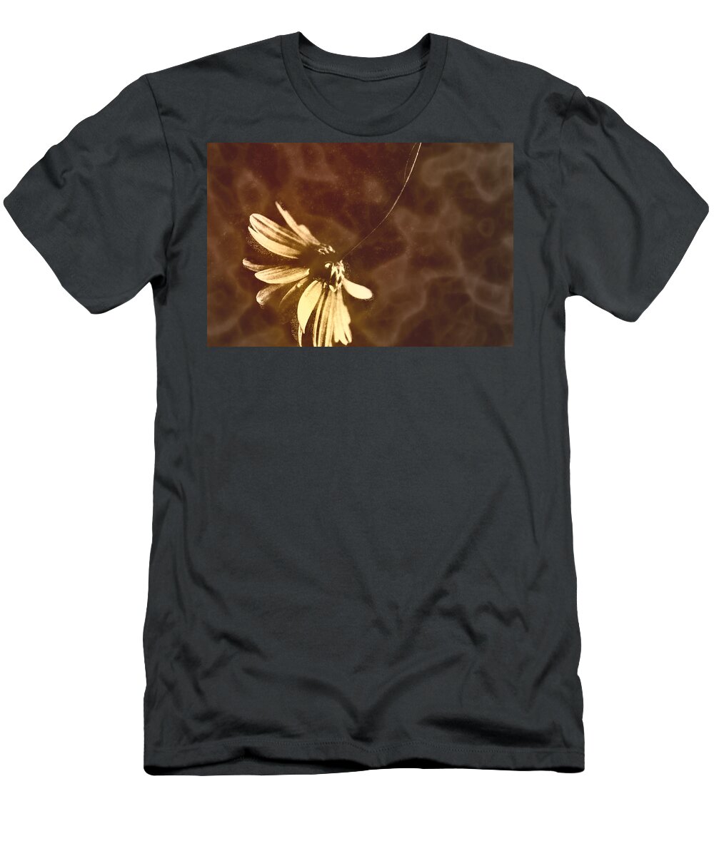 Flower T-Shirt featuring the photograph Daisy by Julie Lueders 