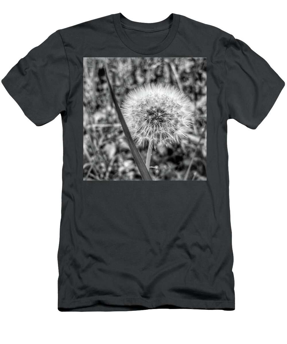 Weed T-Shirt featuring the photograph Dandelion by Al Harden
