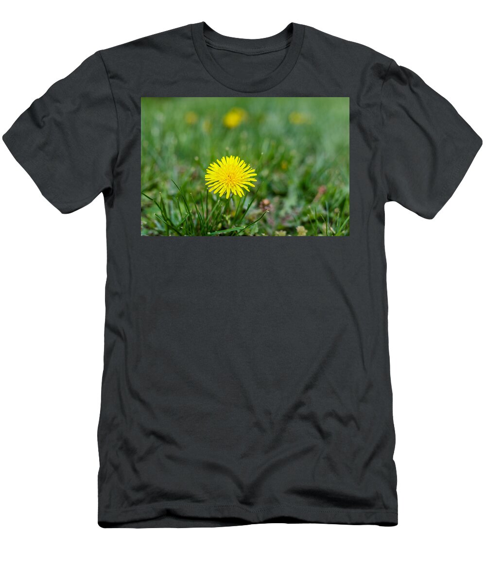 Dandelion T-Shirt featuring the photograph Dandelion by SAURAVphoto Online Store