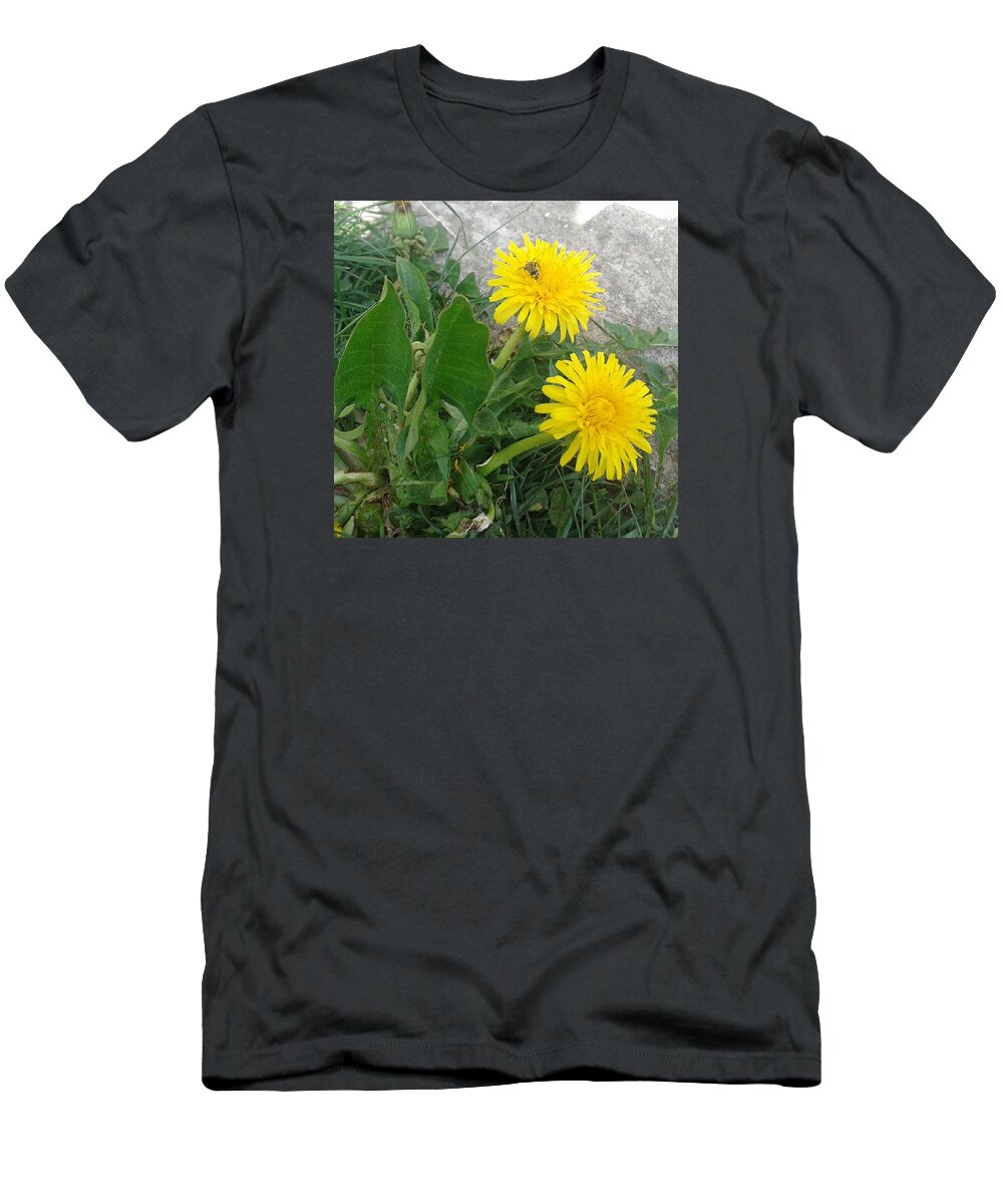  T-Shirt featuring the photograph Dandelions by Lukas Zales
