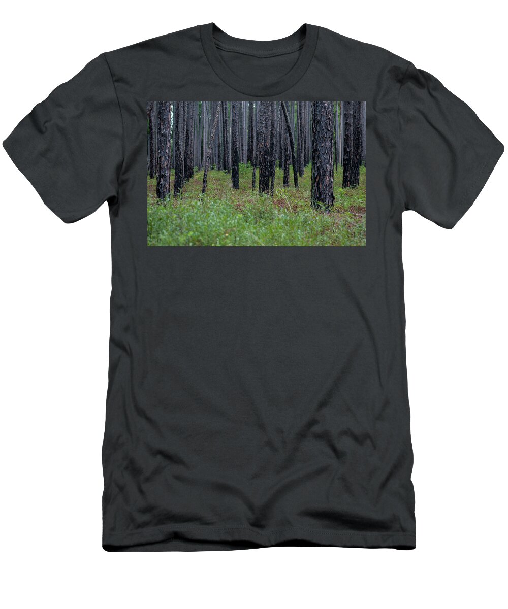 Lake Waccamaw T-Shirt featuring the photograph Dark Forest by Brian Green