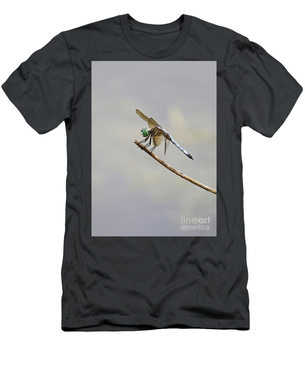 Blue Dragonfly T-Shirt featuring the photograph Darling Dragonfly by Carol Groenen