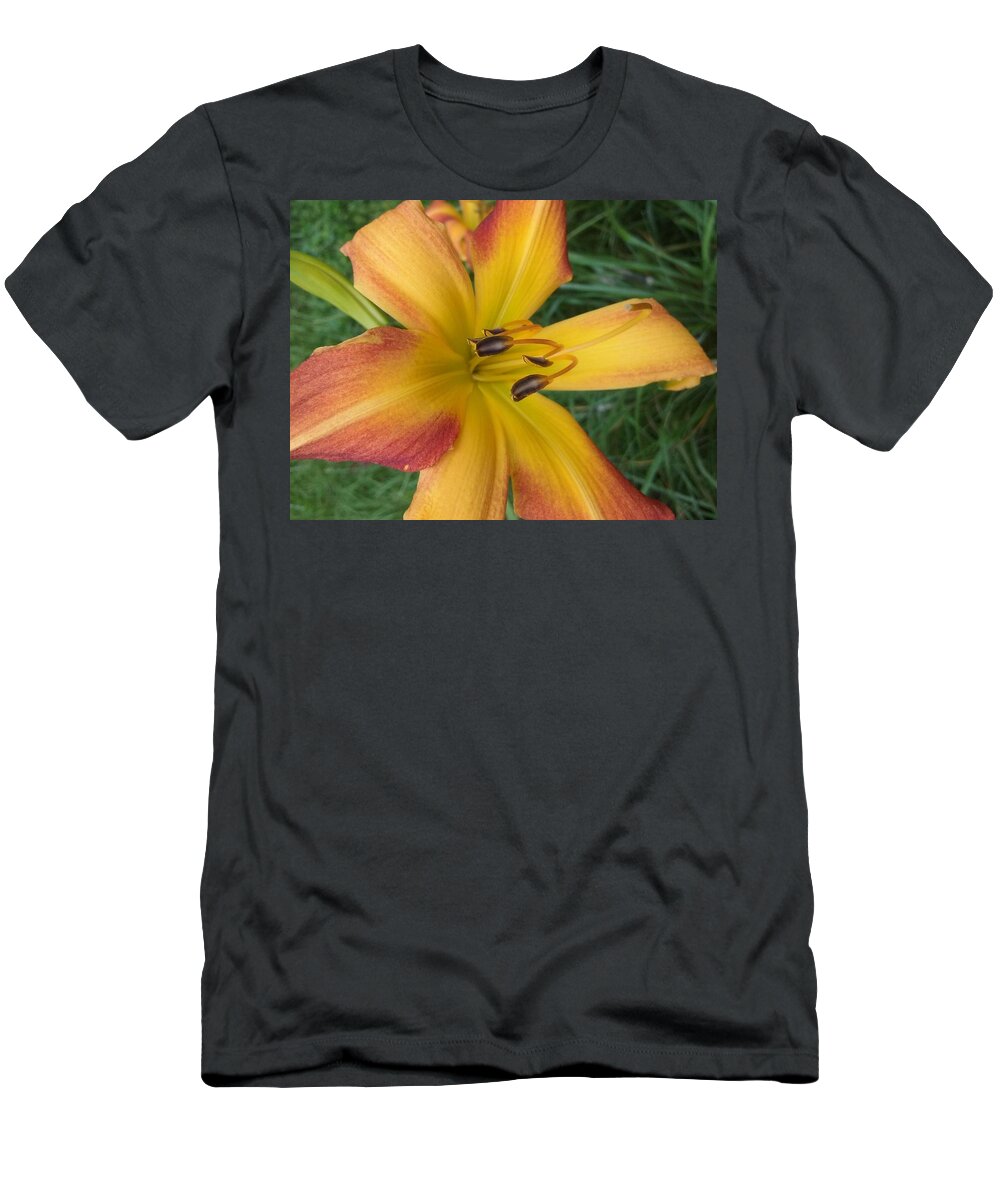 Day Lily T-Shirt featuring the photograph Day Lily by Seaux-N-Seau Soileau