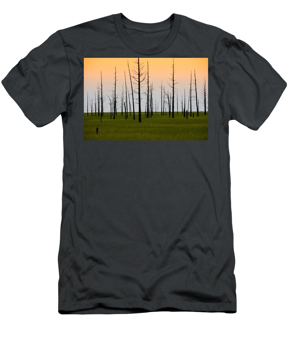 Cedars T-Shirt featuring the photograph Dead Cedars by Louis Dallara