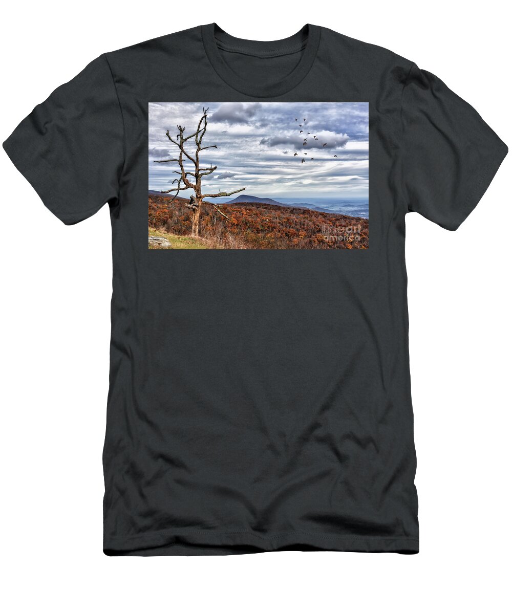 Skyline Drive T-Shirt featuring the photograph Dead Tree At Skyline Drive by Lois Bryan