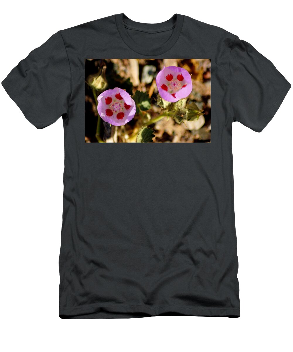 Superbloom 2016 T-Shirt featuring the photograph Death Valley Superbloom 105 by Daniel Woodrum