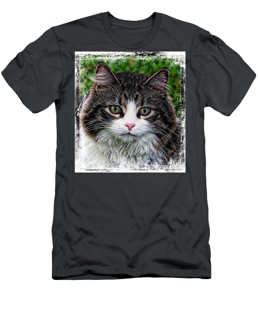 Acrylic T-Shirt featuring the mixed media Decorative Maine Coon Cat A4122016 by Mas Art Studio