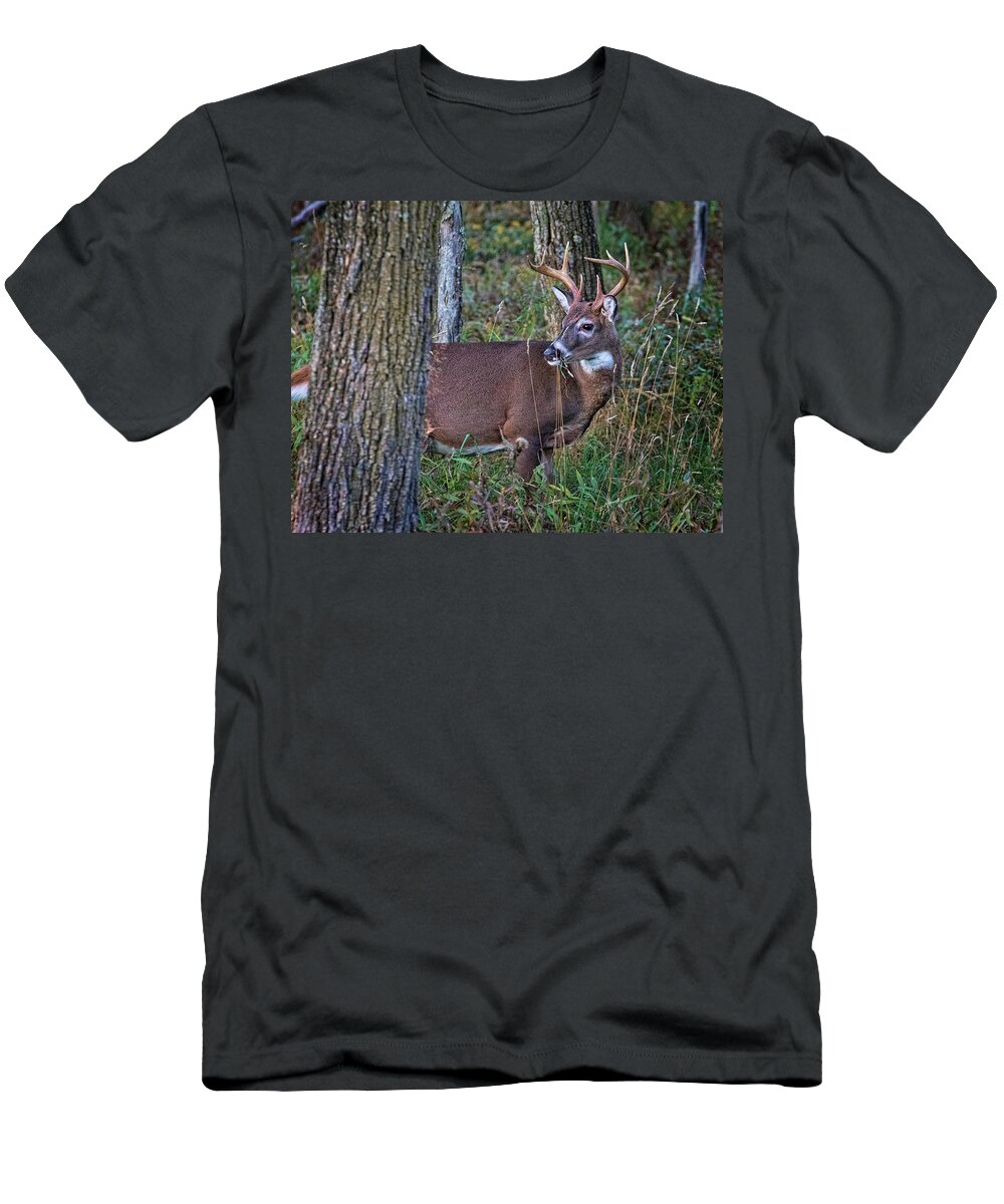 Deer T-Shirt featuring the photograph Deer in the Woods by Jaki Miller