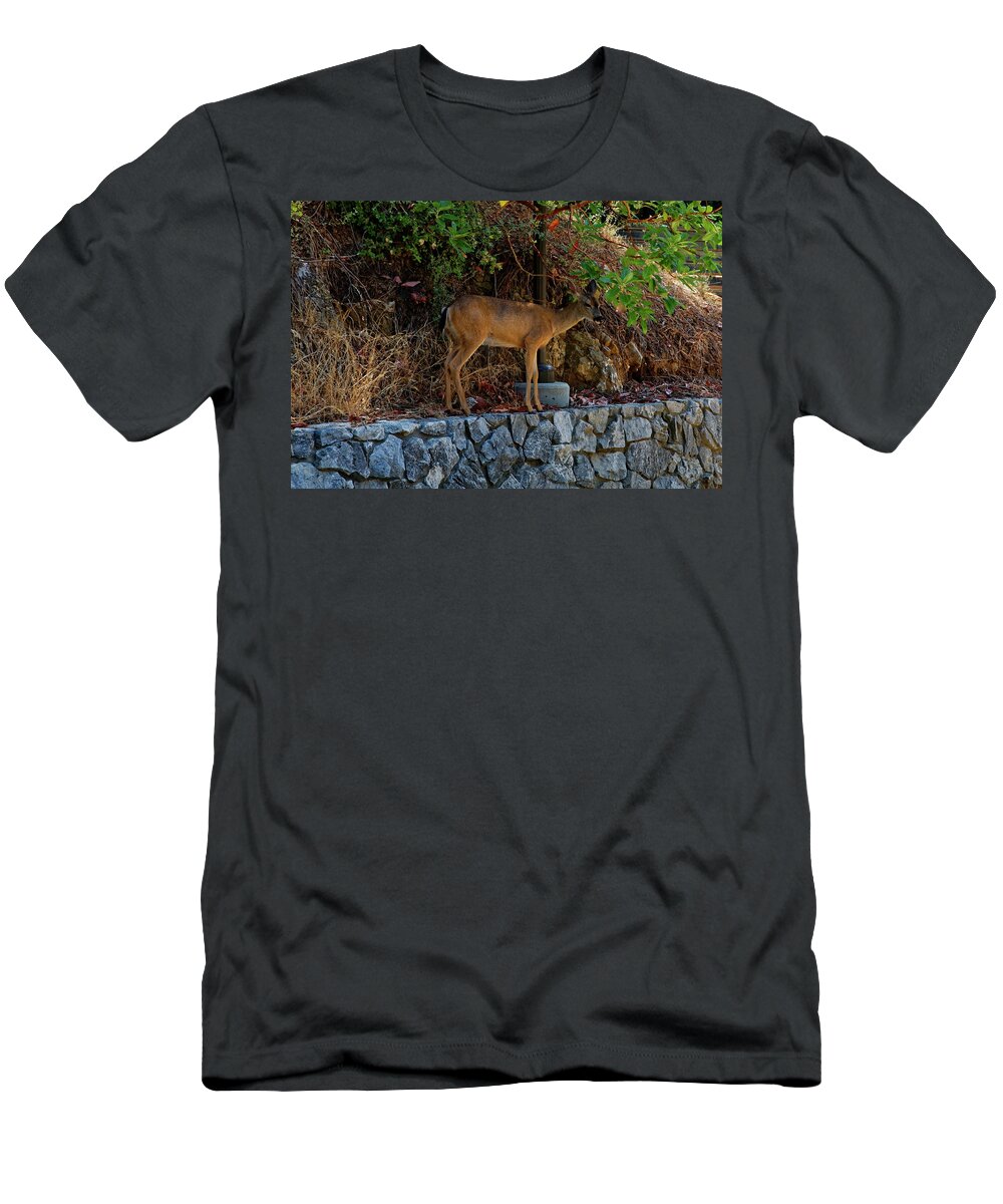 Deer T-Shirt featuring the photograph Deer by Peter Ponzio