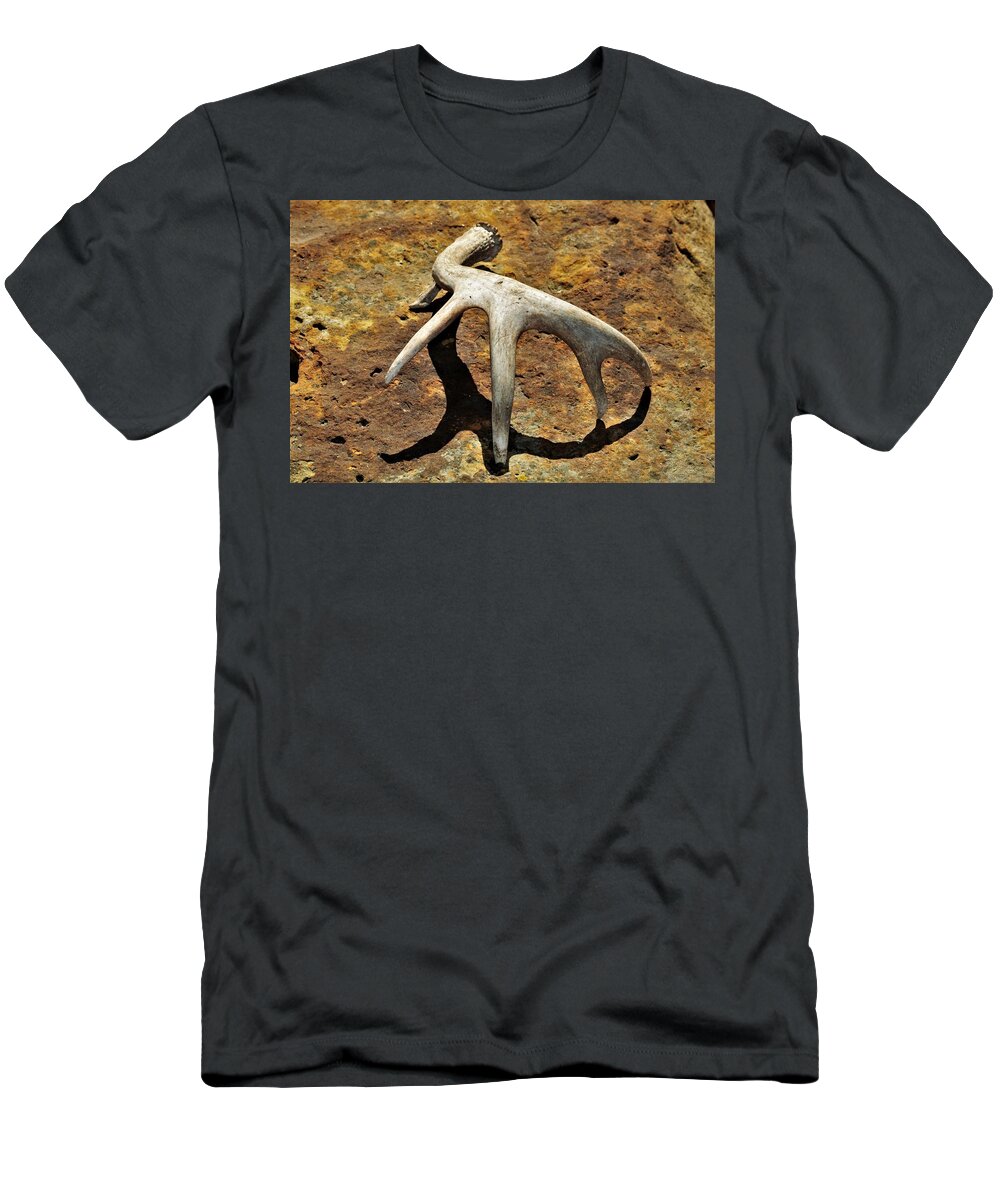 Nature T-Shirt featuring the photograph Deer Shed and Shadow by Sheila Brown