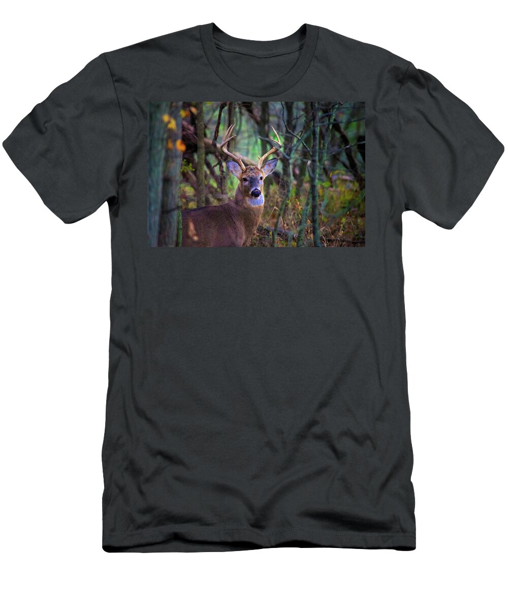  T-Shirt featuring the photograph Deer by Tony HUTSON