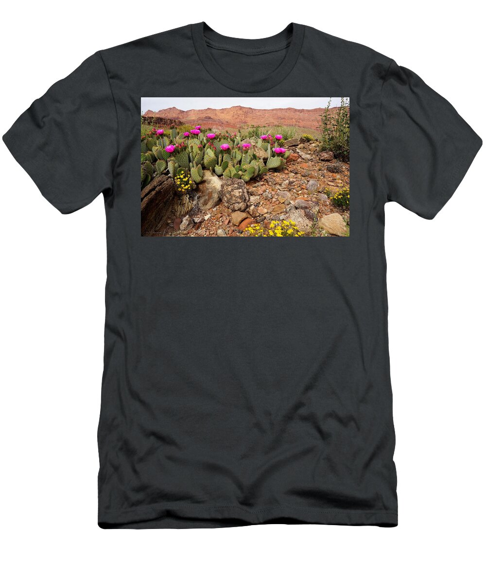 Vermillion T-Shirt featuring the photograph Desert Cactus in Bloom by Tranquil Light Photography