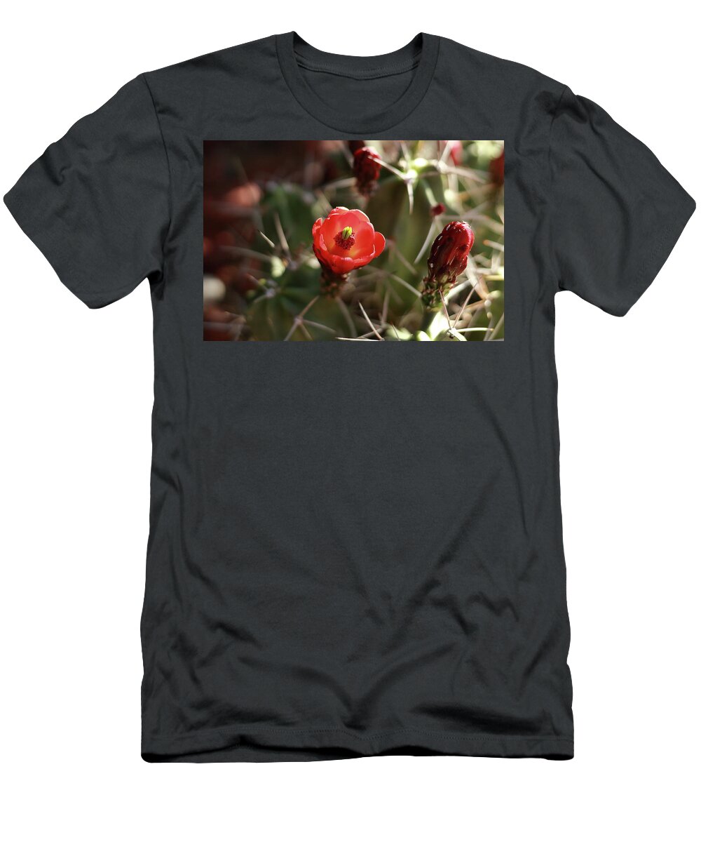 Cactus T-Shirt featuring the photograph Desert Rose by David Diaz