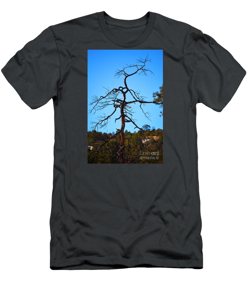 Southwest Landscape T-Shirt featuring the photograph Deserts toll by Robert WK Clark